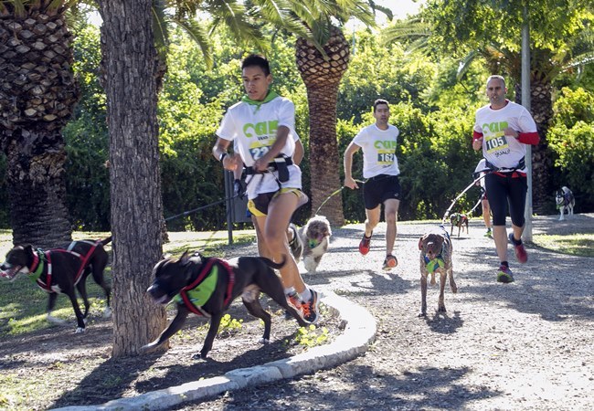 Can we run en Alicante
