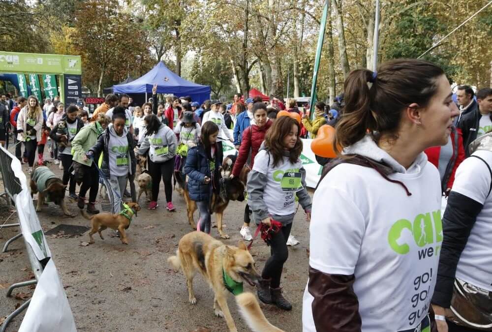 CWR: Perros y dueños disfrutando a la carrera en Castrelos